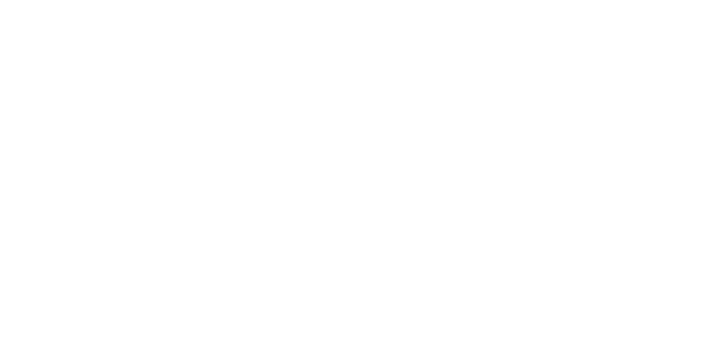 YOUNG CHEM DE MEXICO S.A DE C.V