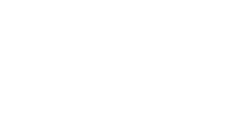 VISSCHER CARAVELLE